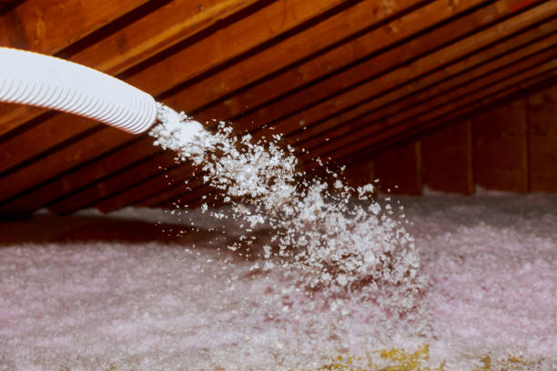 Best Geographic-Specific Insulation Services in Lochmoor Waterway Estates, FL