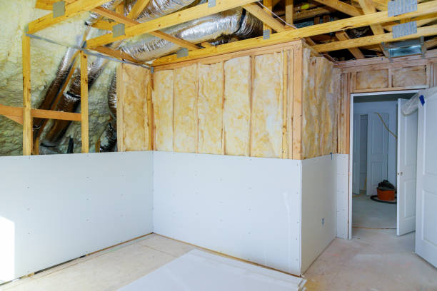 Best Eco-Friendly Insulation in Lochmoor Waterway Estates, FL