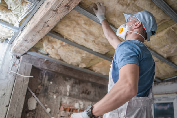 Best DIY Insulation Kits and Guidance in Lochmoor Waterway Estates, FL